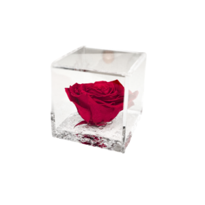 Rose stabilizzate
