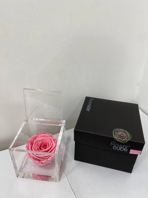 Rosa Stabilizzata Media Rosa 8x8 Cm - immagine 2