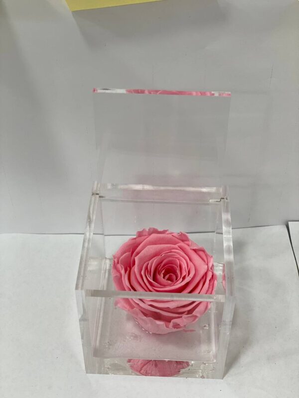 Rosa Stabilizzata Media Rosa 8x8 Cm