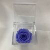 Rosa Stabilizzata Media Lilla 8x8 Cm