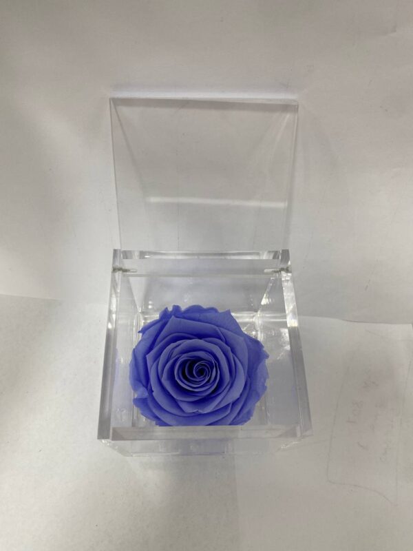 Rosa Stabilizzata Media Lilla 8x8 Cm