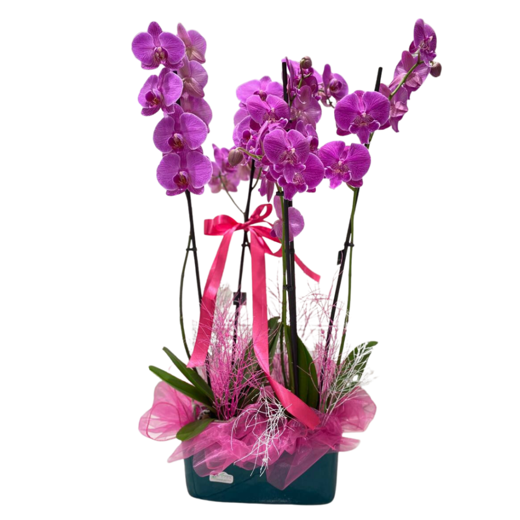 Composizione di orchidee lilla