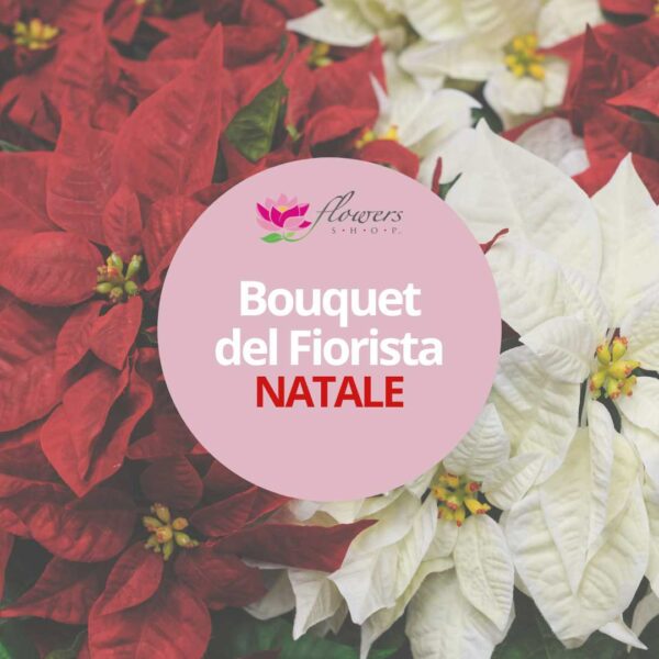 Bouquet del Fiorista - Natale